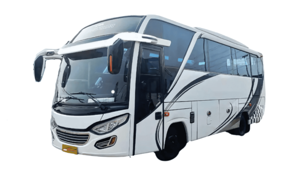Medium Bus