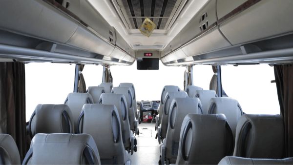Medium Bus - Image 4